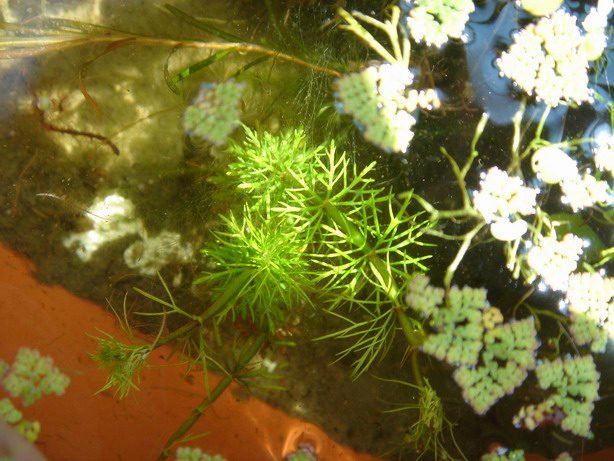 «ö¦¹¦b·sµøµ¡ÂsÄý¹Ï¤ù