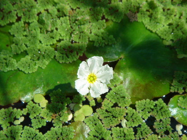 «ö¦¹¦b·sµøµ¡ÂsÄý¹Ï¤ù