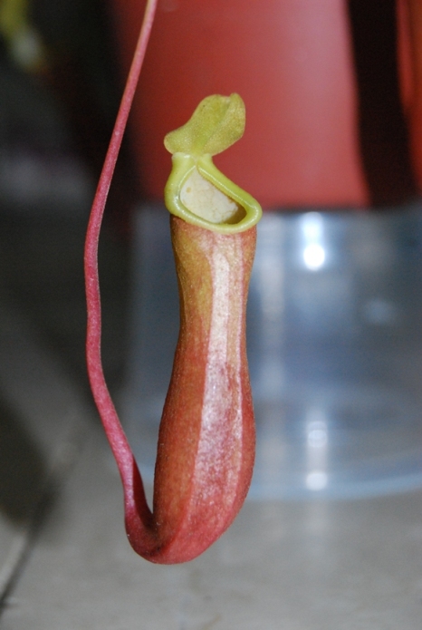 «ö¦¹¦b·sµøµ¡ÂsÄý¹Ï¤ù