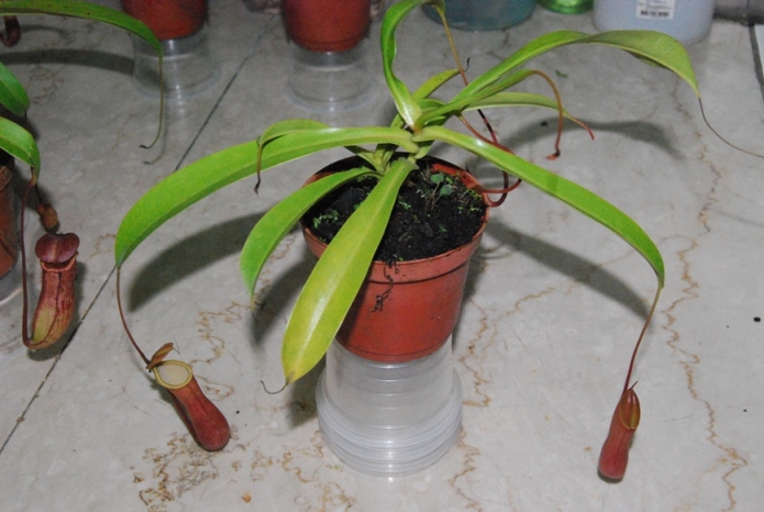 «ö¦¹¦b·sµøµ¡ÂsÄý¹Ï¤ù