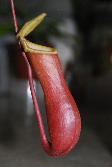 «ö¦¹¦b·sµøµ¡ÂsÄý¹Ï¤ù