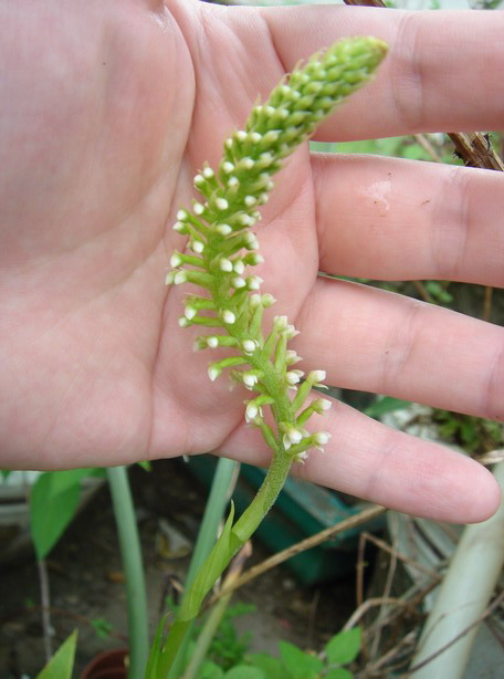 «ö¦¹¦b·sµøµ¡ÂsÄý¹Ï¤ù