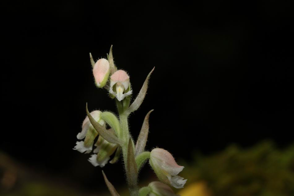 «ö¦¹¦b·sµøµ¡ÂsÄý¹Ï¤ù