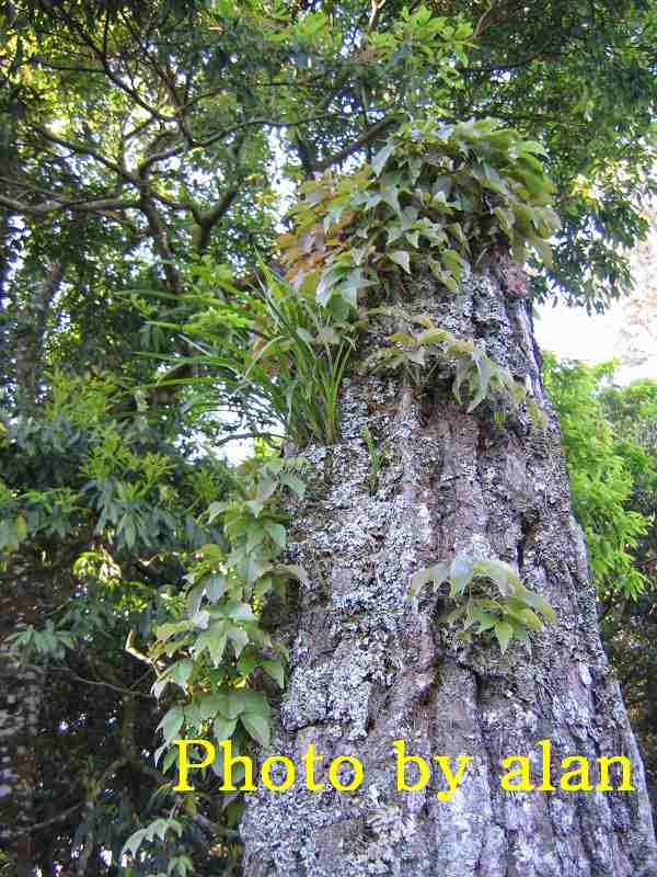 «ö¦¹¦b·sµøµ¡ÂsÄý¹Ï¤ù