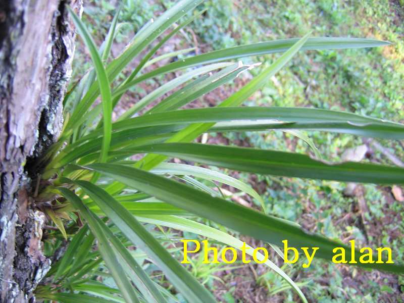 «ö¦¹¦b·sµøµ¡ÂsÄý¹Ï¤ù