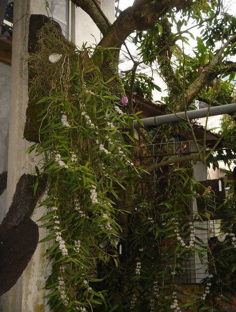 «ö¦¹¦b·sµøµ¡ÂsÄý¹Ï¤ù