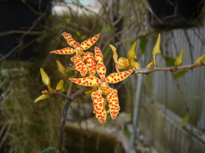 «ö¦¹¦b·sµøµ¡ÂsÄý¹Ï¤ù