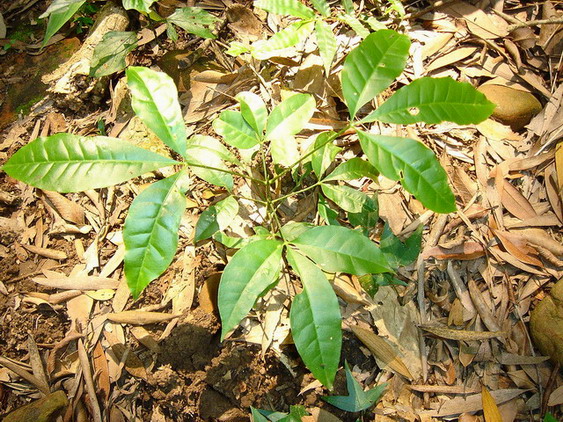 «ö¦¹¦b·sµøµ¡ÂsÄý¹Ï¤ù