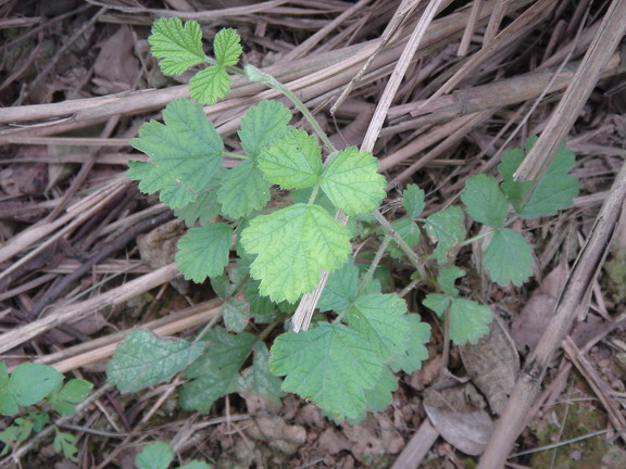 «ö¦¹¦b·sµøµ¡ÂsÄý¹Ï¤ù