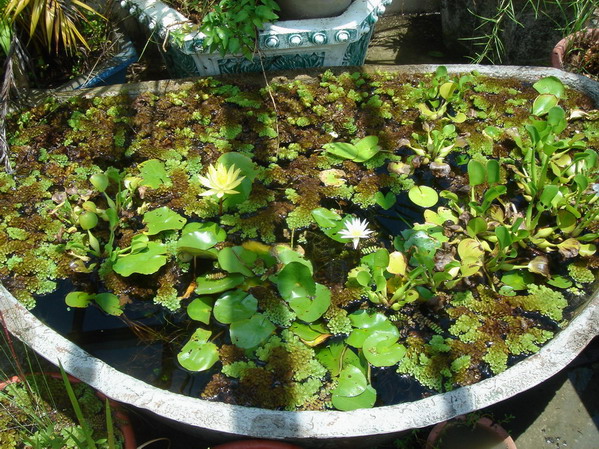 «ö¦¹¦b·sµøµ¡ÂsÄý¹Ï¤ù