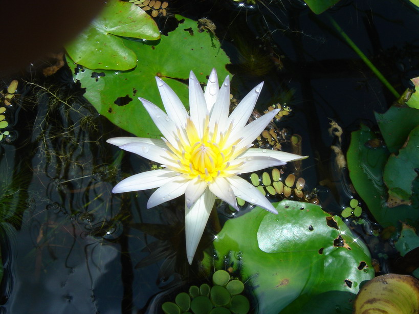 «ö¦¹¦b·sµøµ¡ÂsÄý¹Ï¤ù