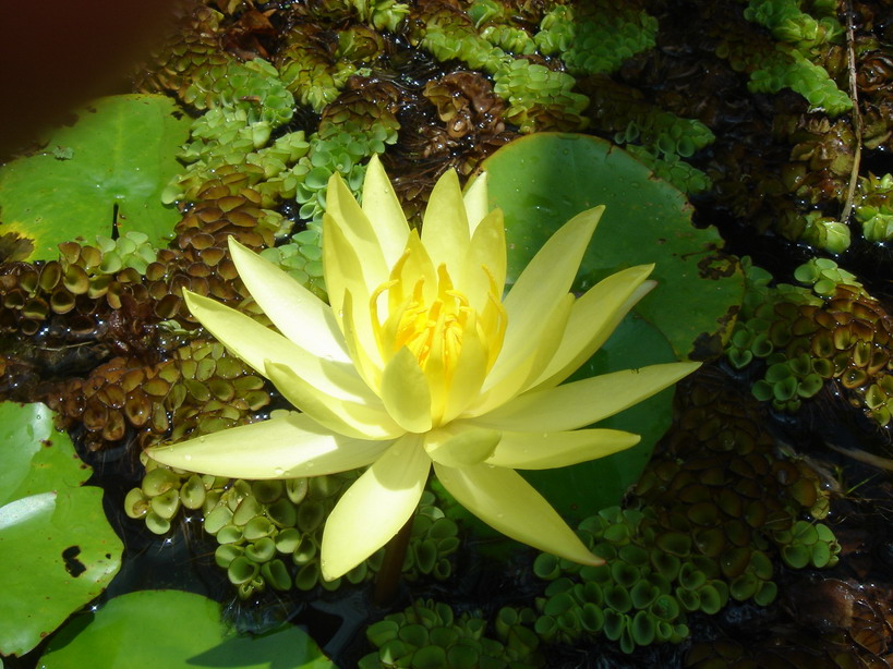 «ö¦¹¦b·sµøµ¡ÂsÄý¹Ï¤ù