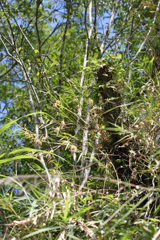 «ö¦¹¦b·sµøµ¡ÂsÄý¹Ï¤ù