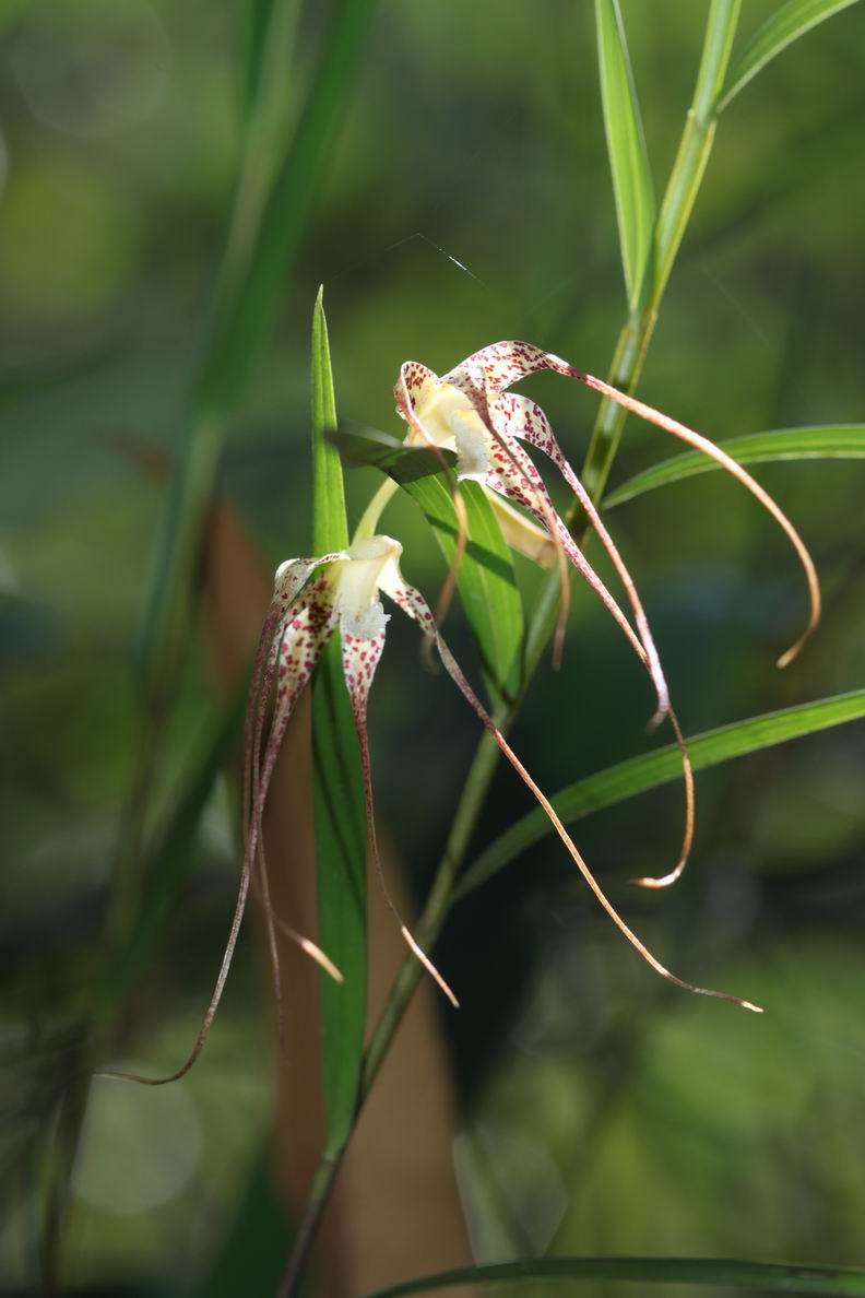 «ö¦¹¦b·sµøµ¡ÂsÄý¹Ï¤ù