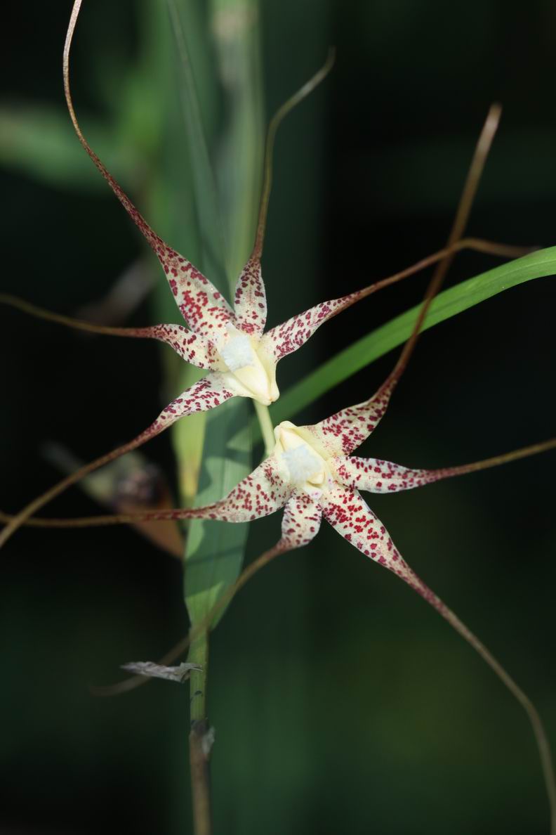 «ö¦¹¦b·sµøµ¡ÂsÄý¹Ï¤ù