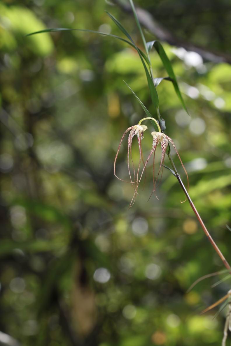 «ö¦¹¦b·sµøµ¡ÂsÄý¹Ï¤ù