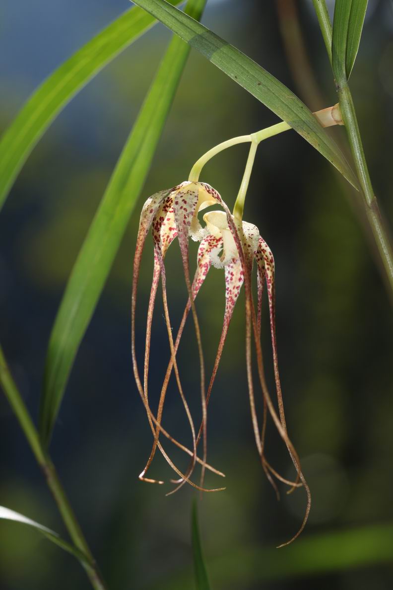 «ö¦¹¦b·sµøµ¡ÂsÄý¹Ï¤ù