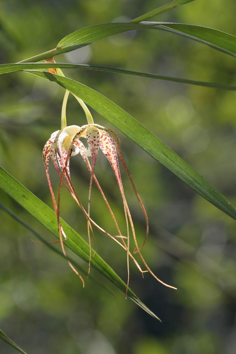 «ö¦¹¦b·sµøµ¡ÂsÄý¹Ï¤ù