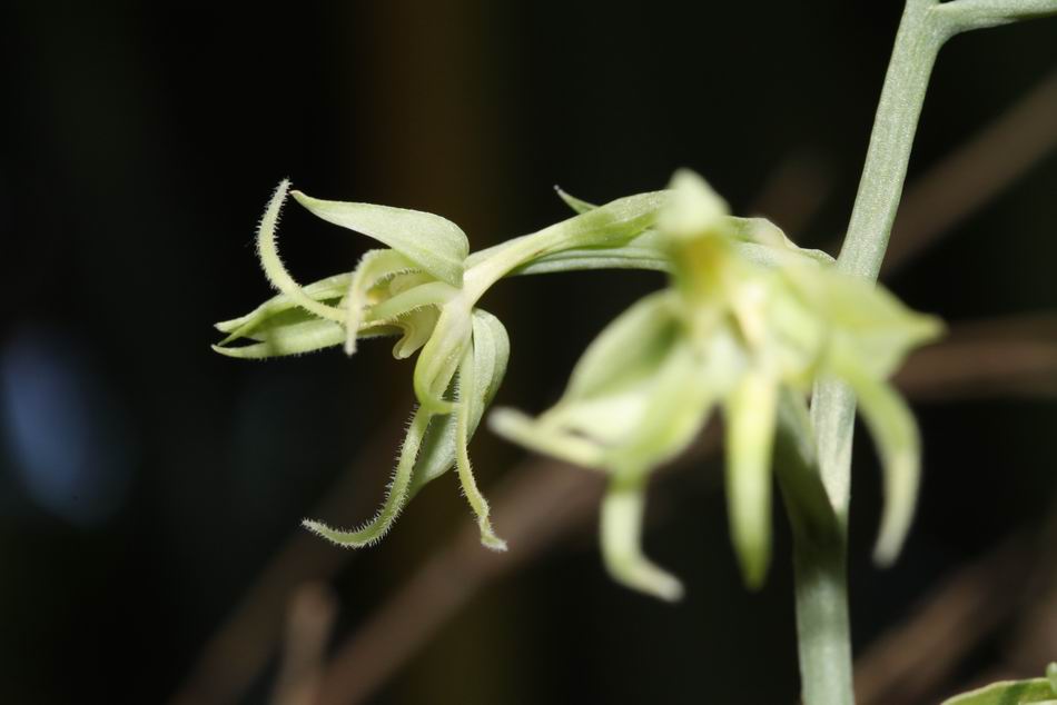 «ö¦¹¦b·sµøµ¡ÂsÄý¹Ï¤ù