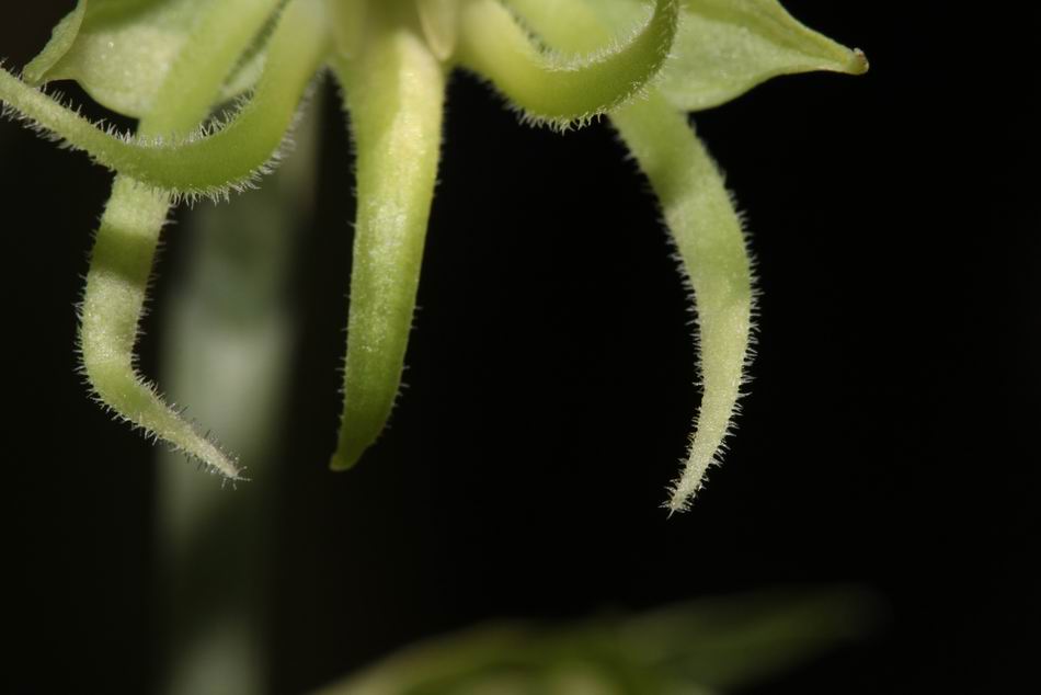 «ö¦¹¦b·sµøµ¡ÂsÄý¹Ï¤ù