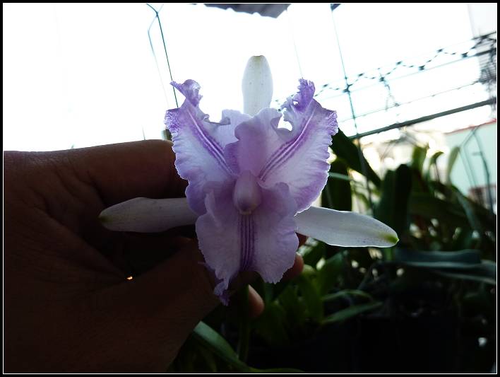 «ö¦¹¦b·sµøµ¡ÂsÄý¹Ï¤ù