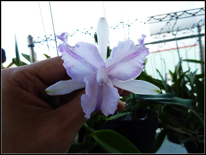 «ö¦¹¦b·sµøµ¡ÂsÄý¹Ï¤ù