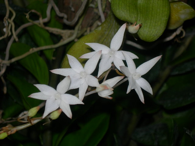 «ö¦¹¦b·sµøµ¡ÂsÄý¹Ï¤ù