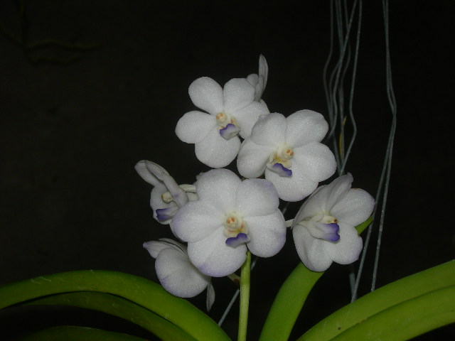 «ö¦¹¦b·sµøµ¡ÂsÄý¹Ï¤ù