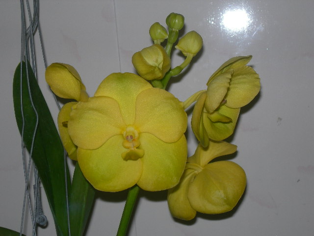 «ö¦¹¦b·sµøµ¡ÂsÄý¹Ï¤ù