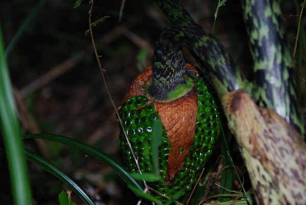 «ö¦¹¦b·sµøµ¡ÂsÄý¹Ï¤ù