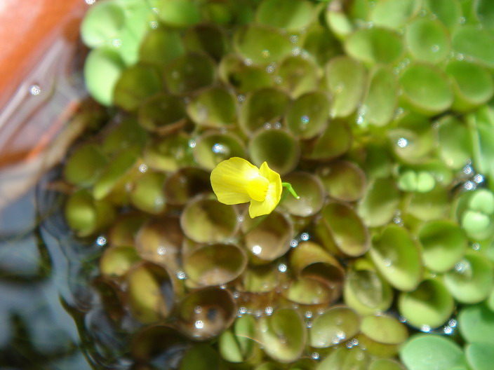 «ö¦¹¦b·sµøµ¡ÂsÄý¹Ï¤ù