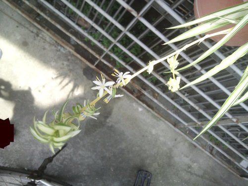 «ö¦¹¦b·sµøµ¡ÂsÄý¹Ï¤ù