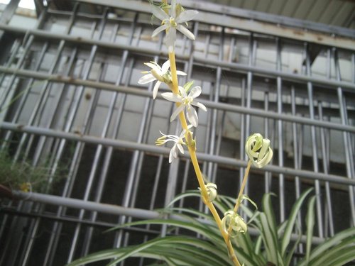 «ö¦¹¦b·sµøµ¡ÂsÄý¹Ï¤ù