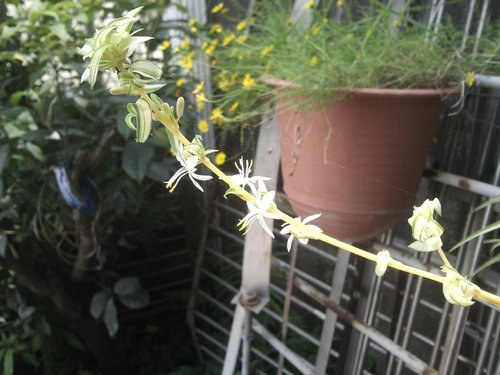 «ö¦¹¦b·sµøµ¡ÂsÄý¹Ï¤ù