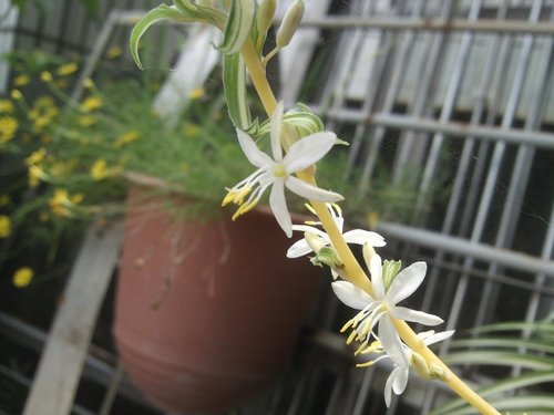 «ö¦¹¦b·sµøµ¡ÂsÄý¹Ï¤ù