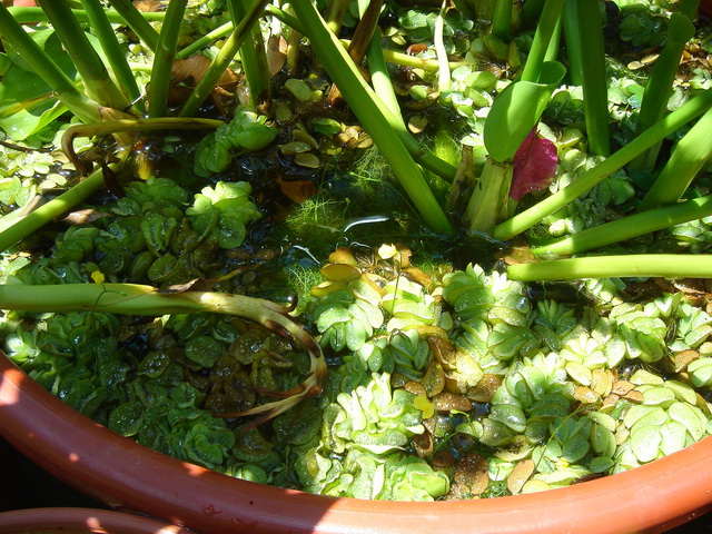 «ö¦¹¦b·sµøµ¡ÂsÄý¹Ï¤ù