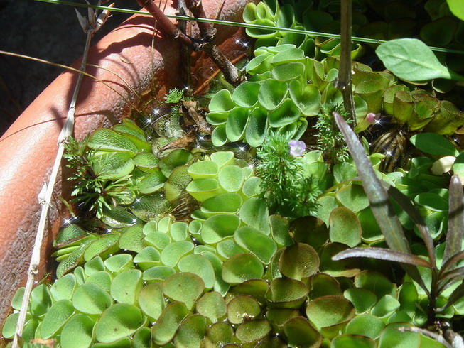 «ö¦¹¦b·sµøµ¡ÂsÄý¹Ï¤ù