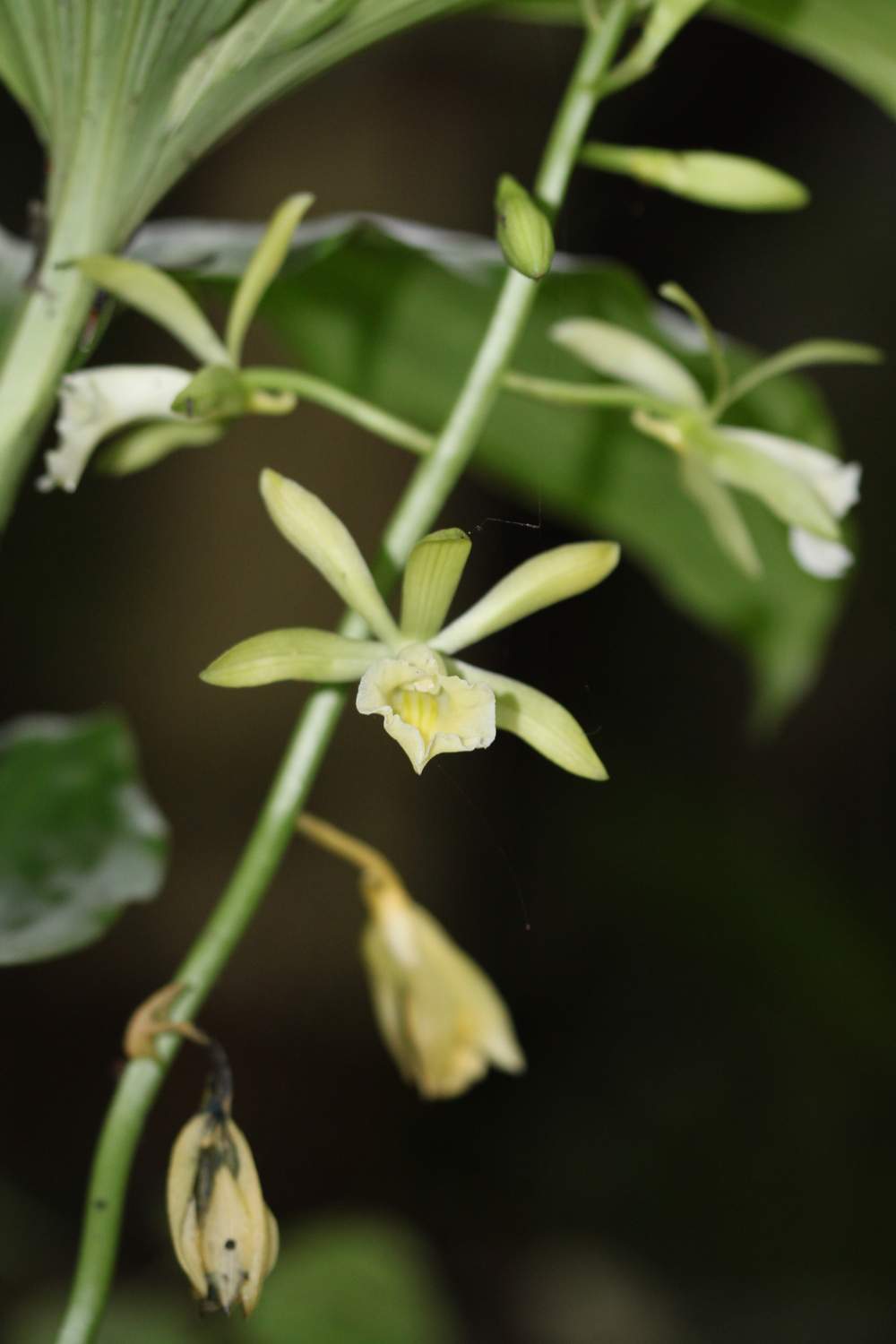 «ö¦¹¦b·sµøµ¡ÂsÄý¹Ï¤ù