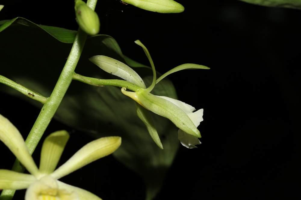 «ö¦¹¦b·sµøµ¡ÂsÄý¹Ï¤ù