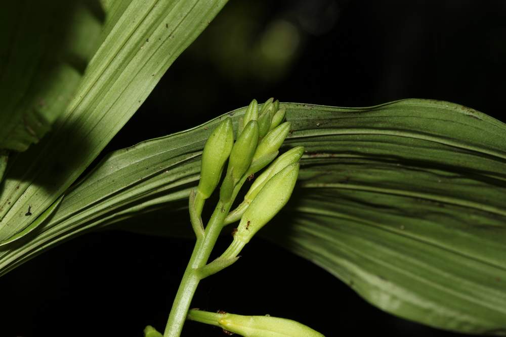 «ö¦¹¦b·sµøµ¡ÂsÄý¹Ï¤ù