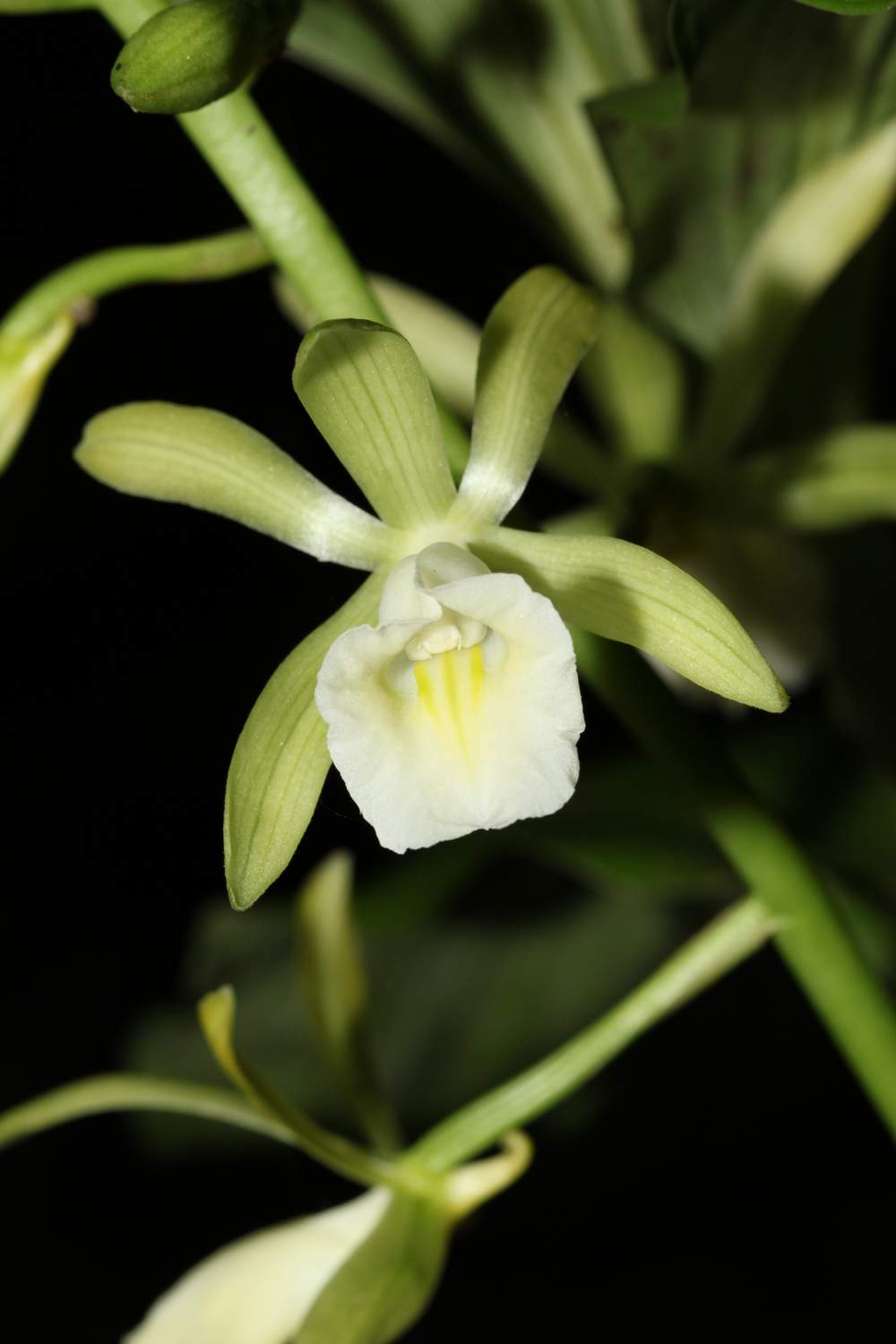 «ö¦¹¦b·sµøµ¡ÂsÄý¹Ï¤ù