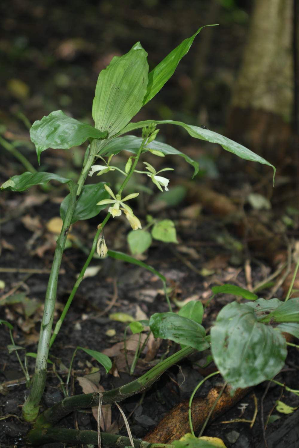 «ö¦¹¦b·sµøµ¡ÂsÄý¹Ï¤ù