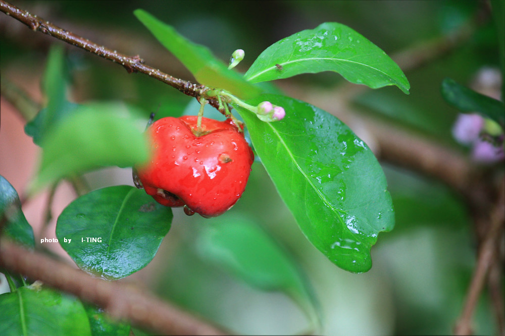 «ö¦¹¦b·sµøµ¡ÂsÄý¹Ï¤ù