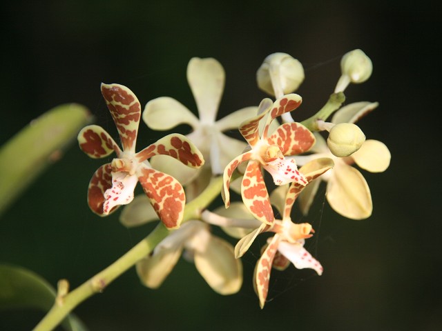 «ö¦¹¦b·sµøµ¡ÂsÄý¹Ï¤ù