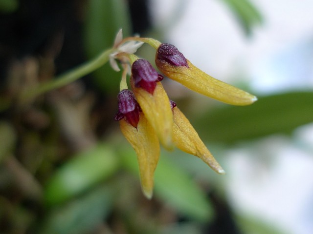 «ö¦¹¦b·sµøµ¡ÂsÄý¹Ï¤ù