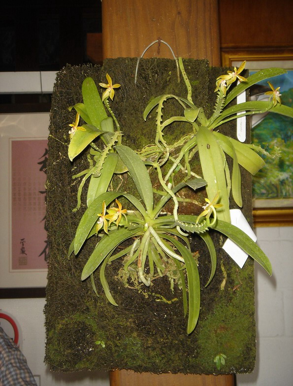 «ö¦¹¦b·sµøµ¡ÂsÄý¹Ï¤ù