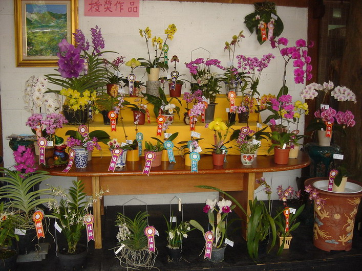 «ö¦¹¦b·sµøµ¡ÂsÄý¹Ï¤ù