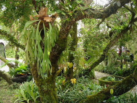 «ö¦¹¦b·sµøµ¡ÂsÄý¹Ï¤ù