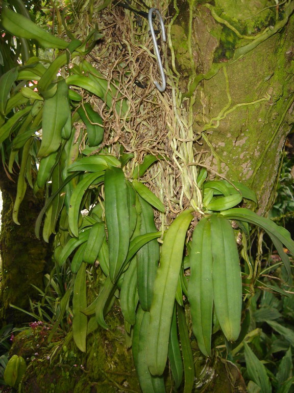 «ö¦¹¦b·sµøµ¡ÂsÄý¹Ï¤ù