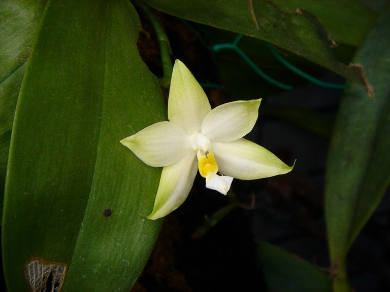 «ö¦¹¦b·sµøµ¡ÂsÄý¹Ï¤ù